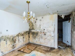 Water Damage Restoration Service