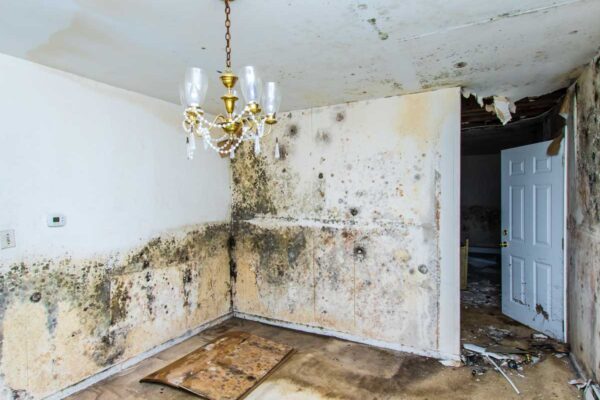 Water Damage Restoration Service