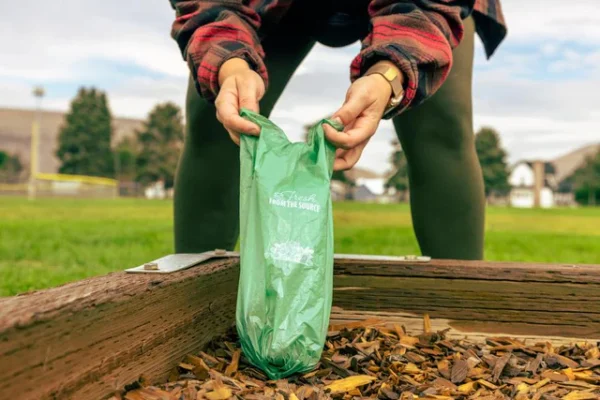 Ultimate Guide to Dog Poop & Scoopers
