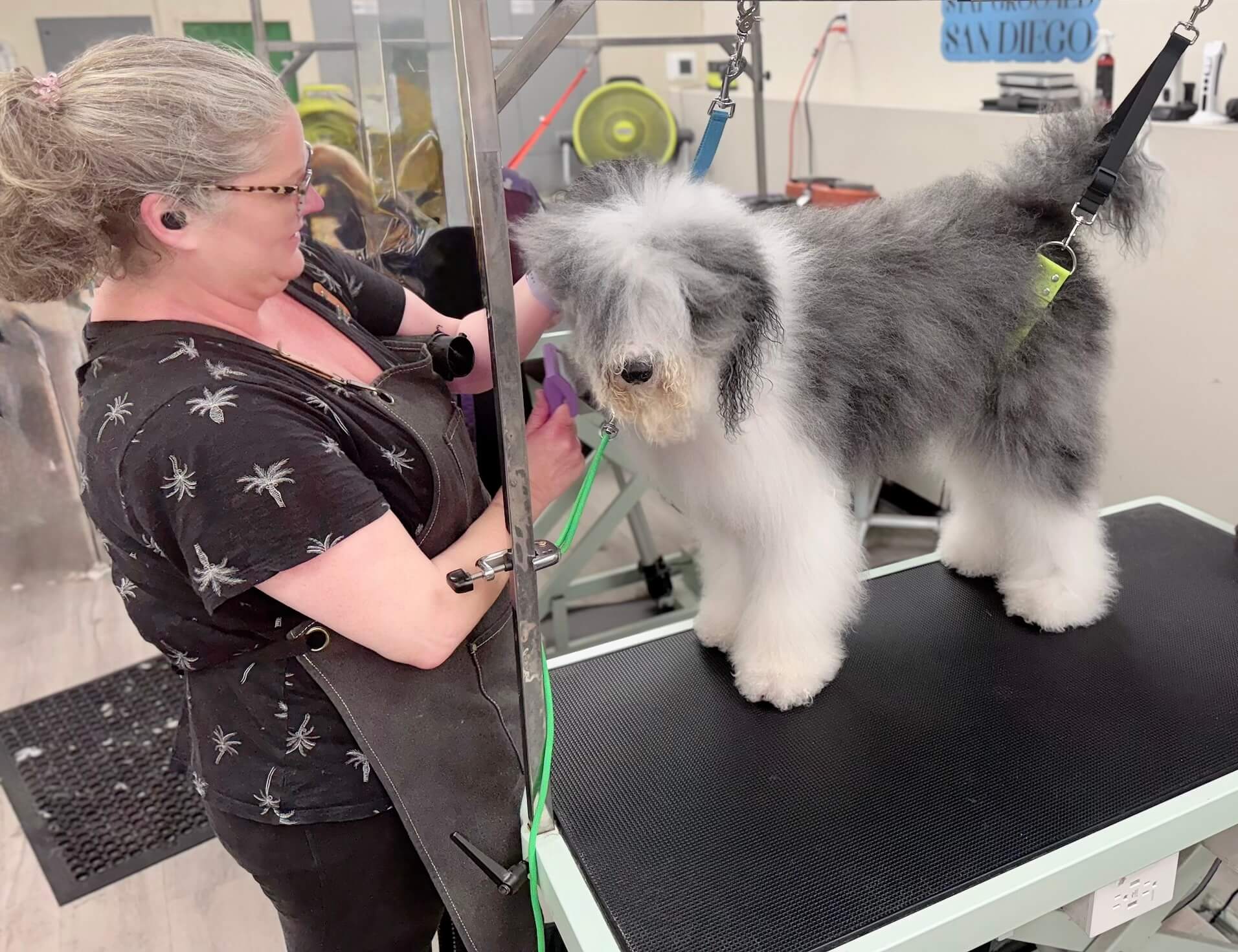 grooming-station-san-diego
