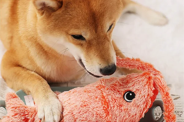 Dancing Lobster Toy for Dogs