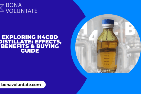 Exploring H4CBD Distillate: Effects, Benefits & Buying Guide H4CBD Distillate