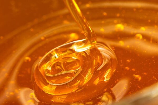 How Do I Know If the Honey Price in Pakistan Is Fair? HoneyTime
