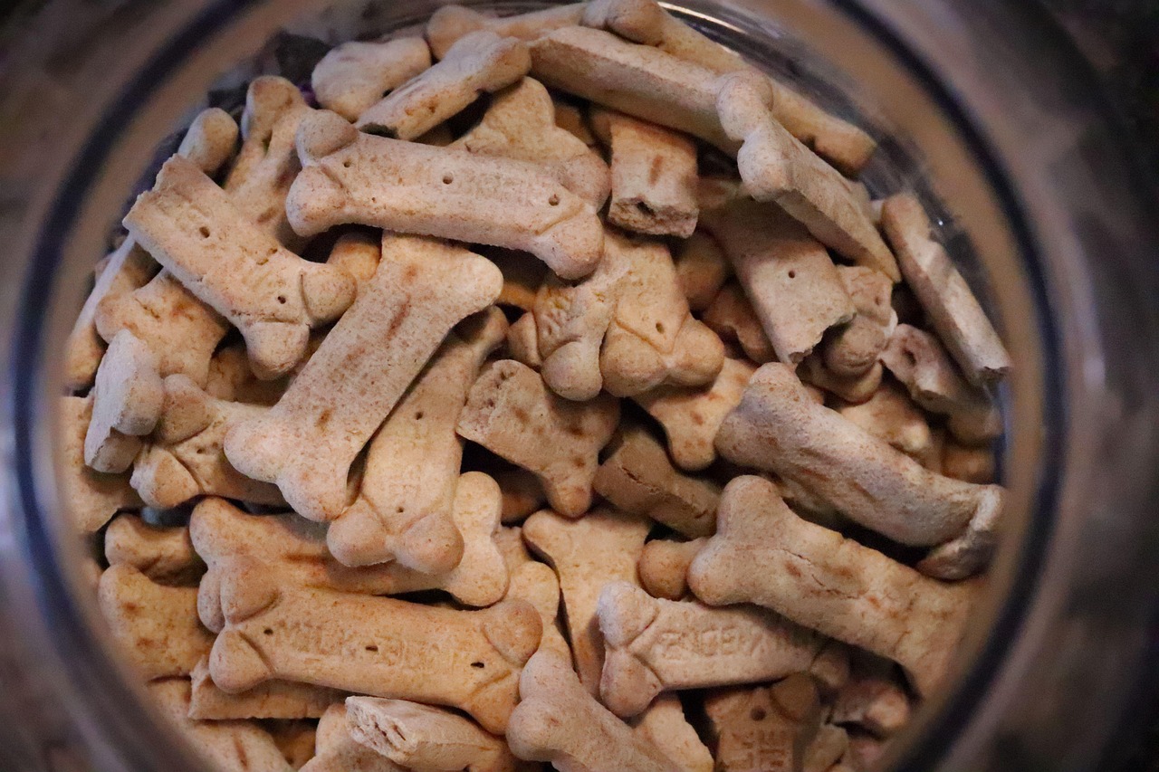 grain free dog food