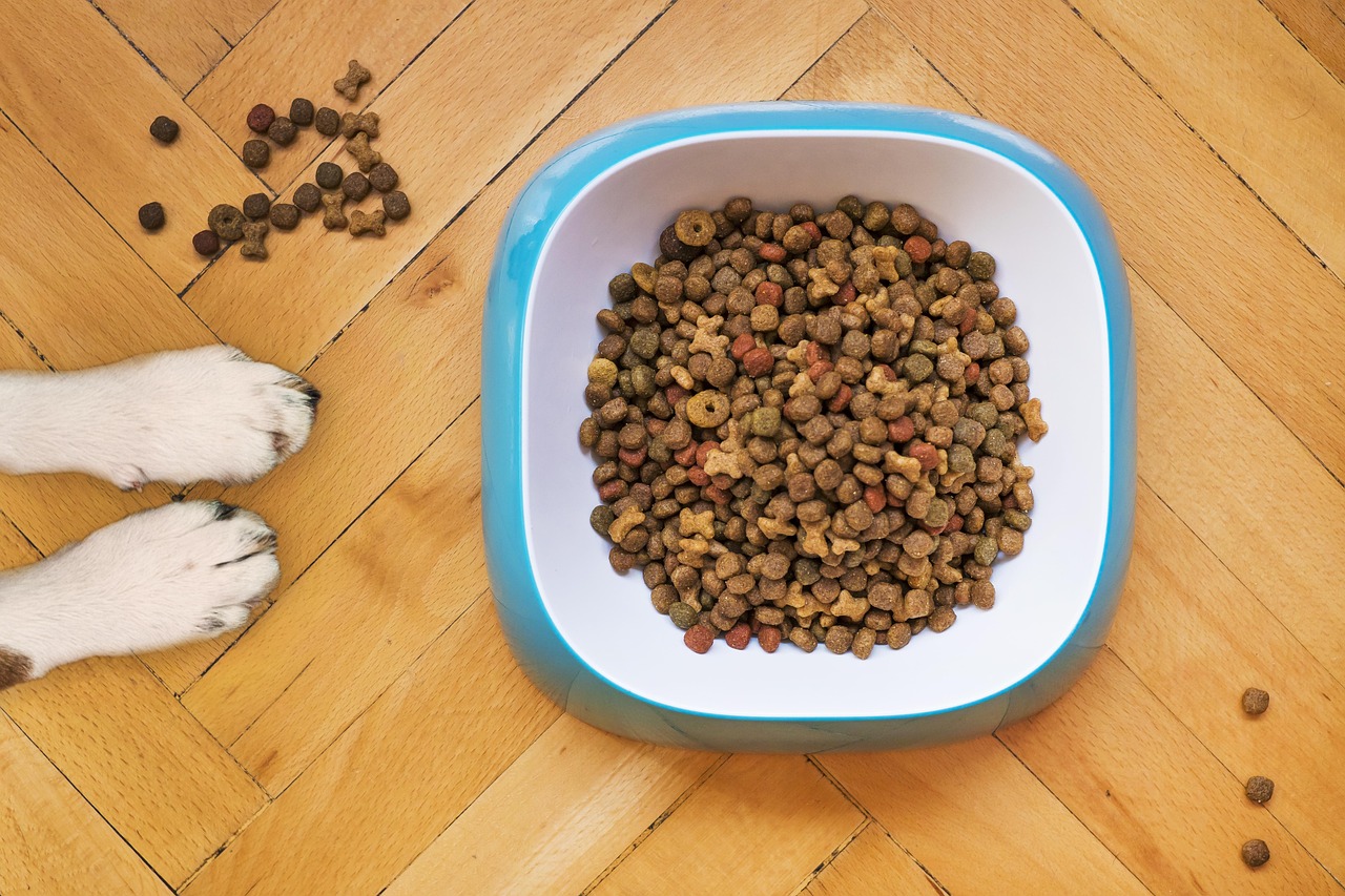 zero grain dog food