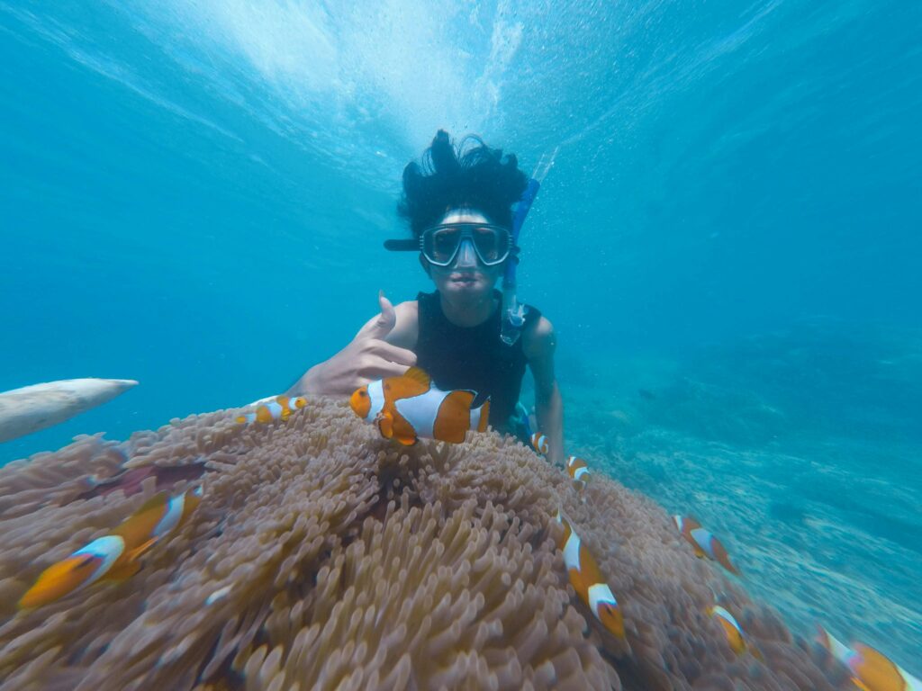 scuba diving dubai