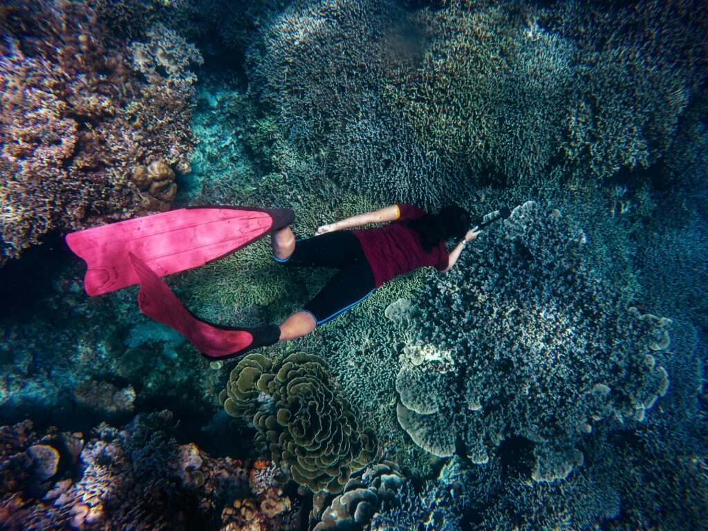 scuba diving in Dubai