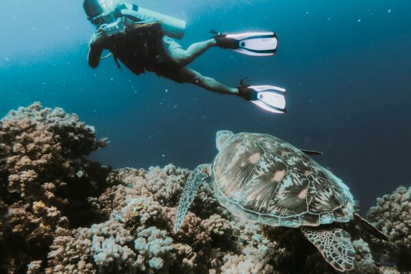The Most Instagrammable Scuba Diving Spots in Dubai The Most Instagrammable Scuba Diving Spots in Dubai