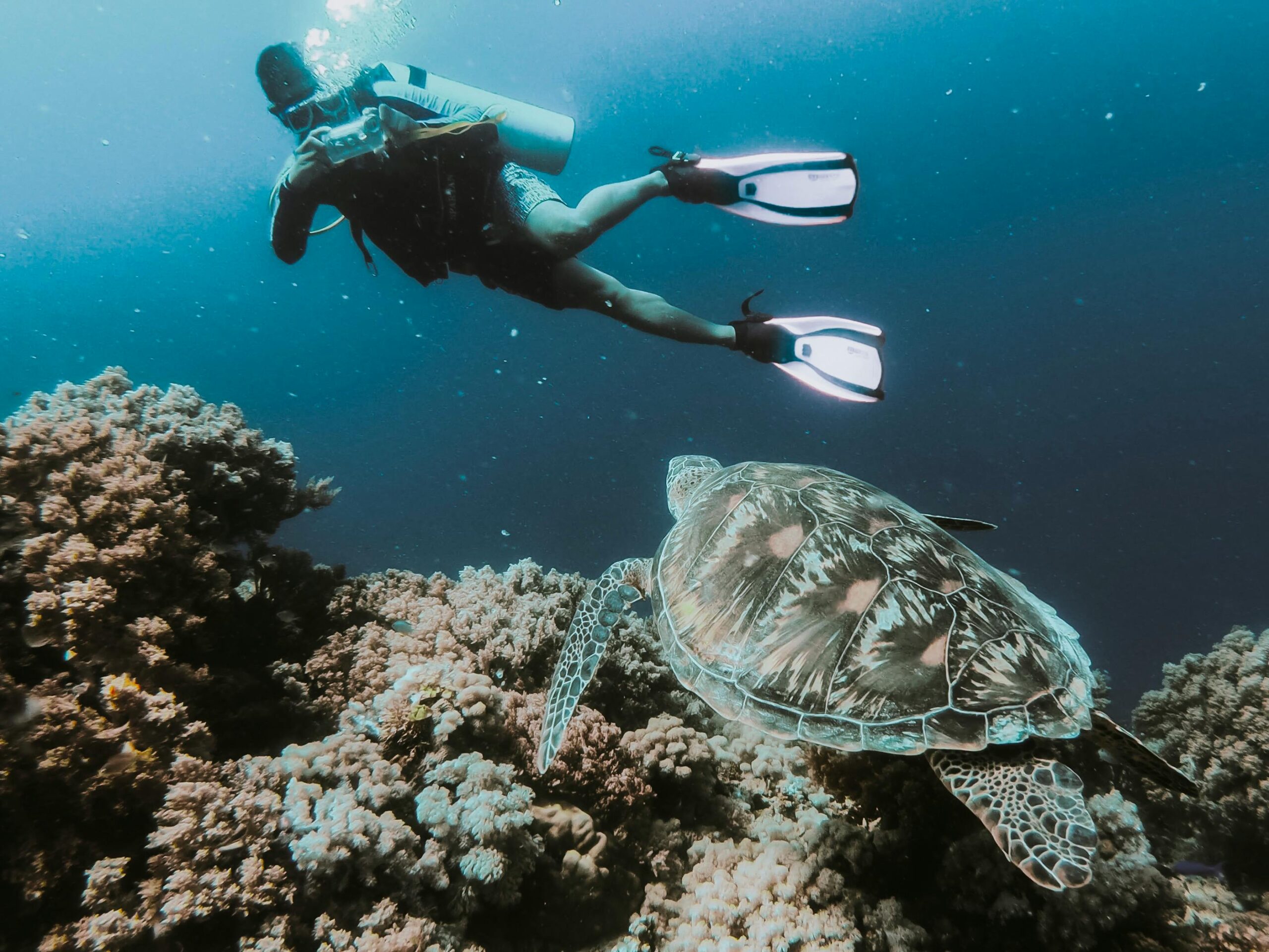 The Most Instagrammable Scuba Diving Spots in Dubai
