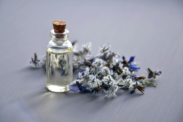 From Classic to Contemporary: A Journey Through Iconic Perfume Eras