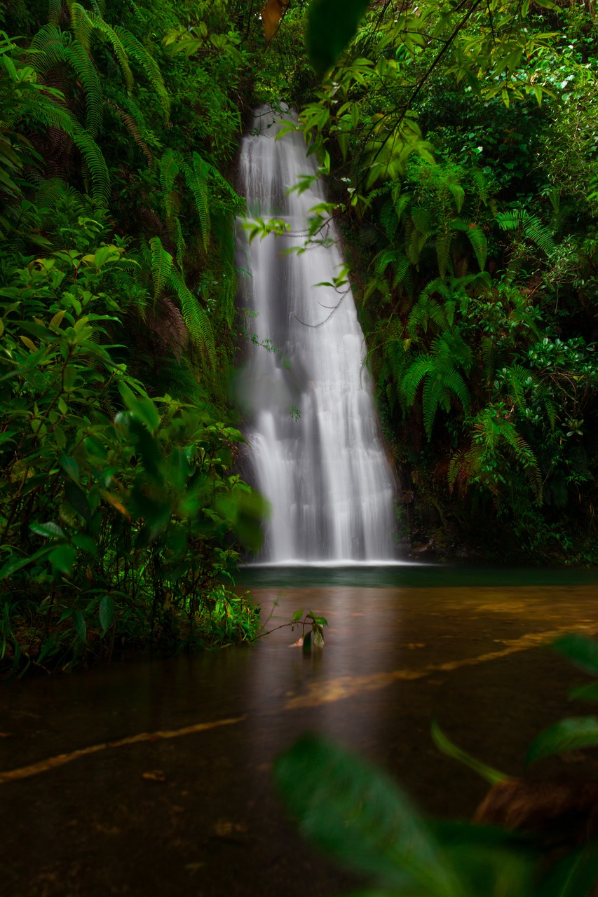 best tour packages for meghalaya