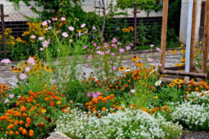 Affordable flowers in Granada Hills CA