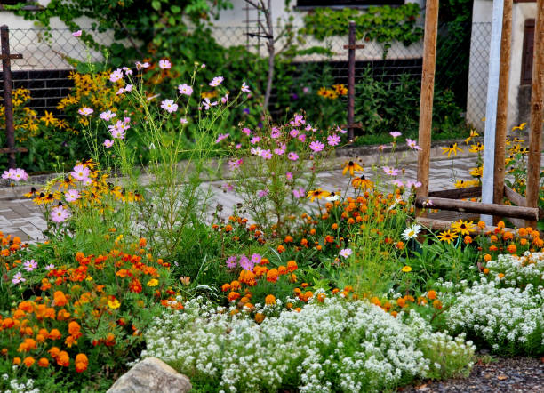 Affordable flowers in Granada Hills CA