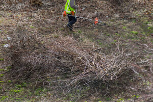 landscaping expert Near Port Chester
