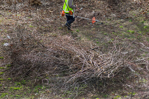 landscaping expert Near Port Chester
