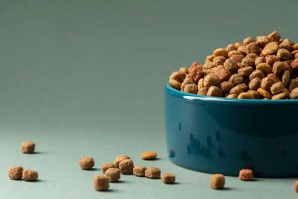 best grain free dog food