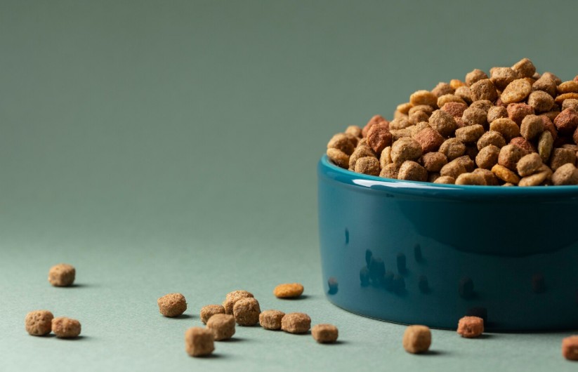 best grain free dog food